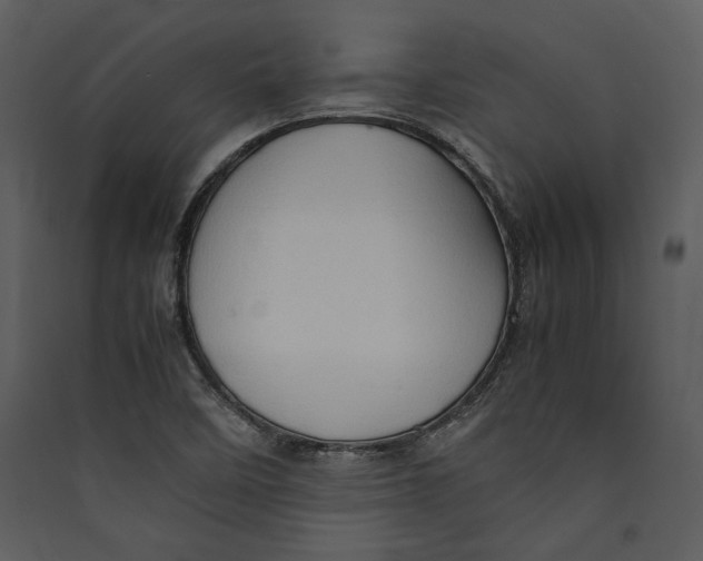 X0000089371458200707131626