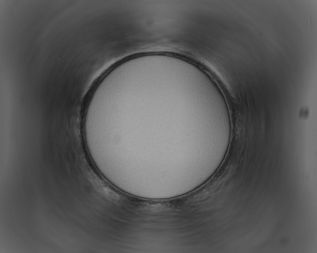 X0000089371460200707131626