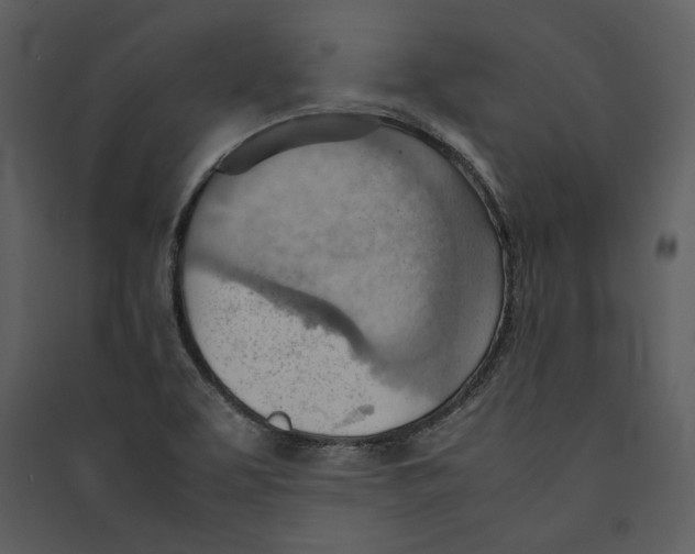 X0000089371463200707131626