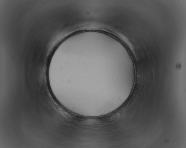 X0000089371464200707131626