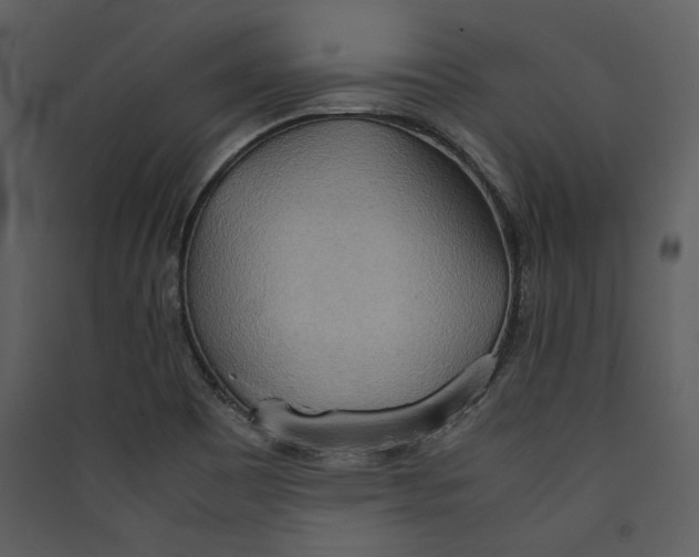 X0000089371465200707131626