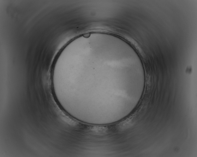 X0000089371466200707131626