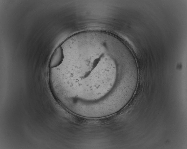 X0000089371467200707131626