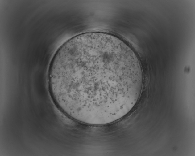 X0000089371471200707131626