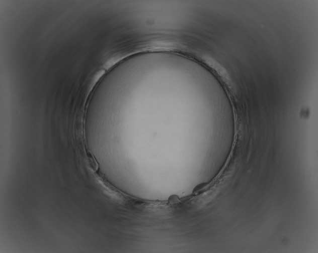 X0000089371473200707131626