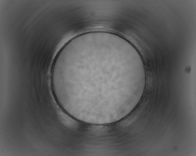 X0000089371474200707131626