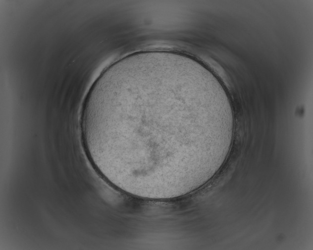 X0000089371475200707131626