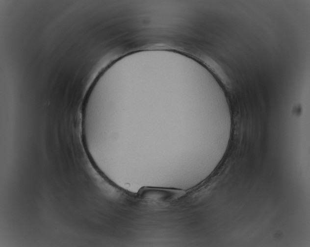 X0000089371476200707131626