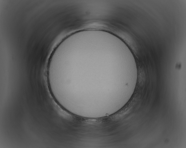 X0000089371478200707131626