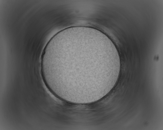 X0000089371479200707131626