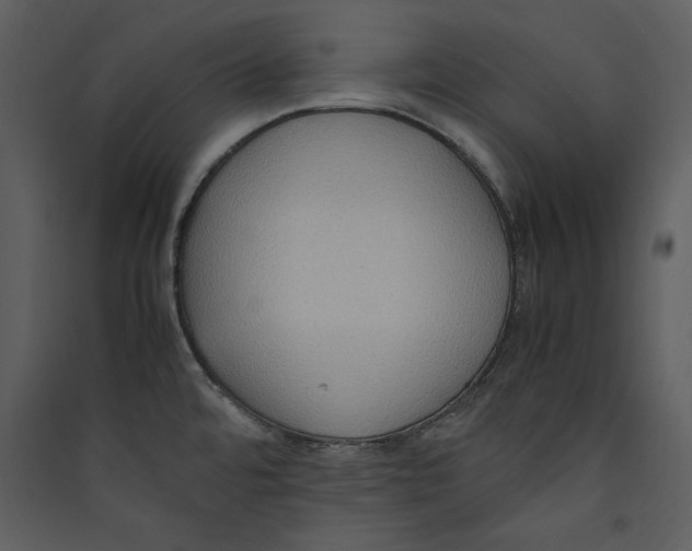 X0000089371480200707131626