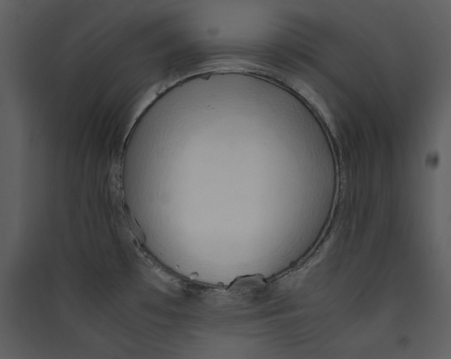 X0000089371481200707131626