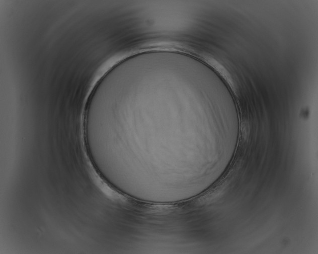 X0000089371482200707131626