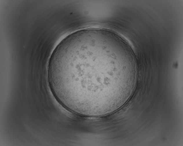 X0000089371483200707131626