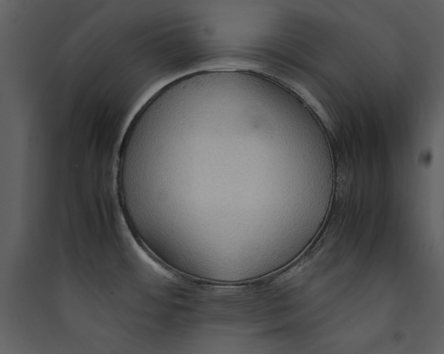 X0000089371484200707131626