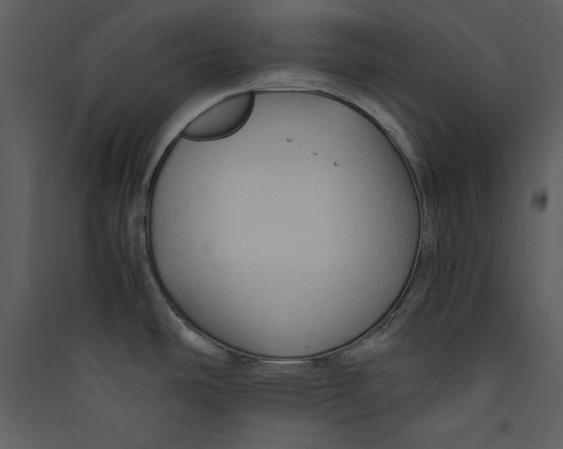 X0000089371486200707131626