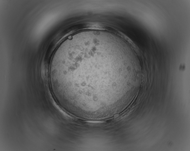 X0000089371487200707131626