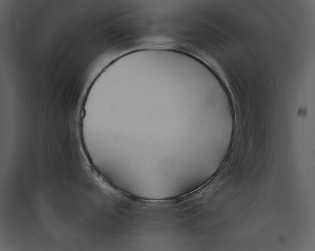 X0000089371488200707131626