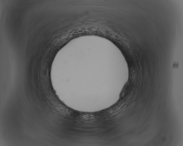 X0000089371489200707131625