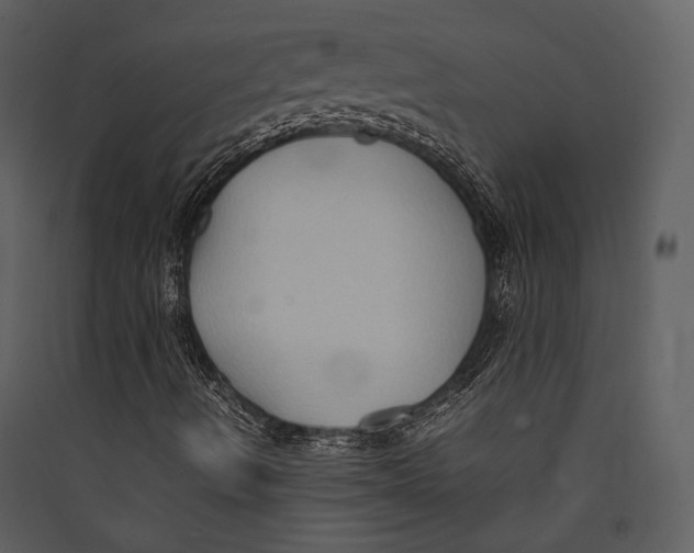 X0000089371490200707131625