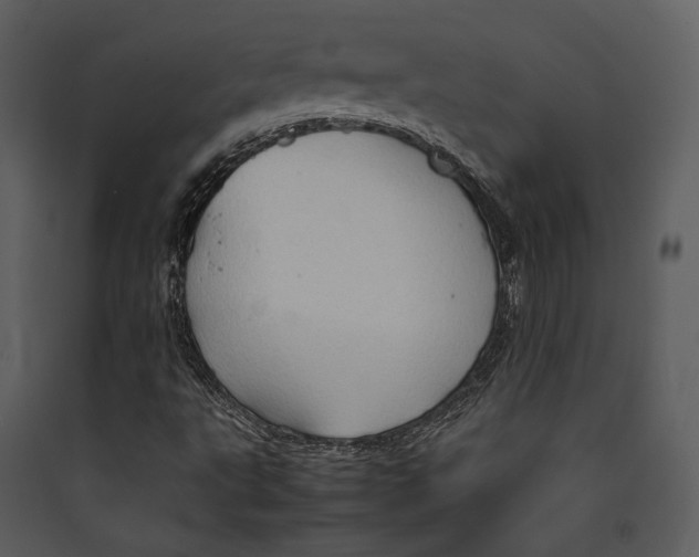 X0000089371495200707131625