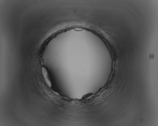 X0000089371496200707131625