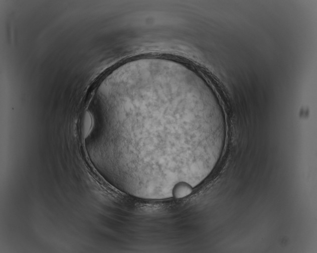 X0000089371497200707131625