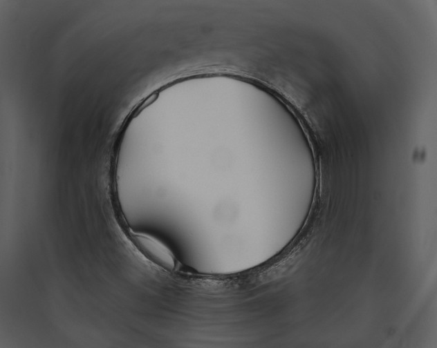 X0000089371500200707131625