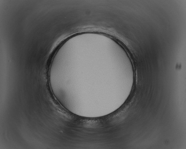 X0000089371501200707131625