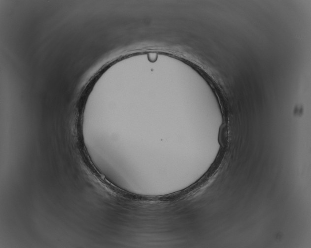 X0000089371502200707131625