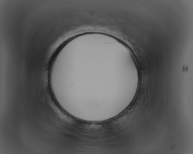 X0000089371503200707131625