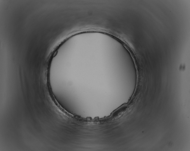 X0000089371504200707131625