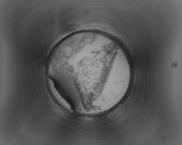 X0000089371505200707131625