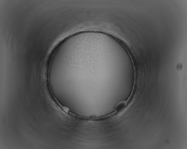 X0000089371506200707131625