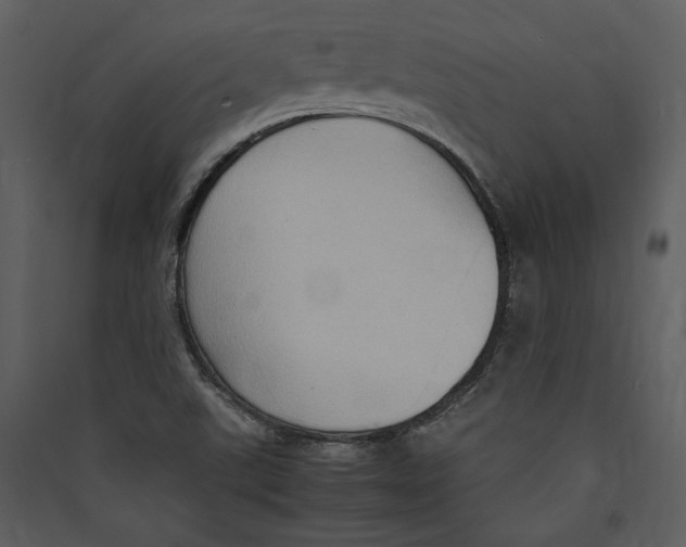 X0000089371507200707131625