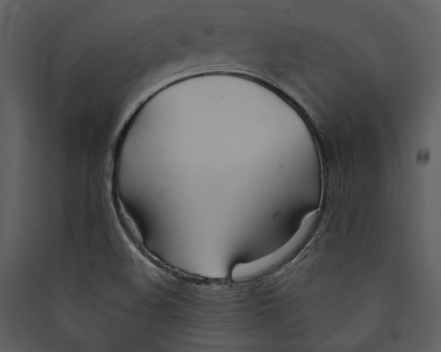 X0000089371508200707131625