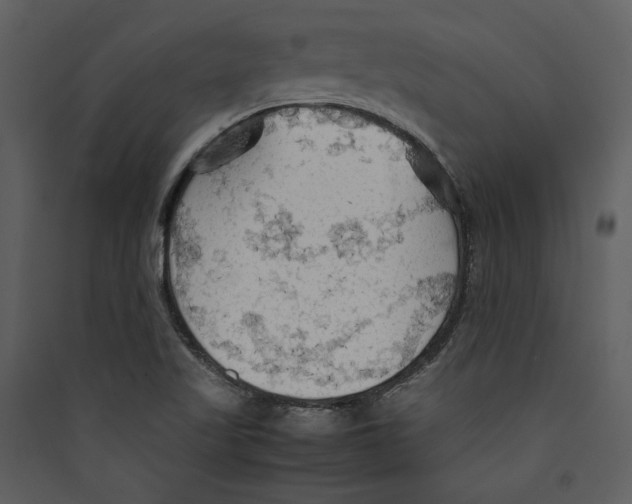 X0000089371509200707131625