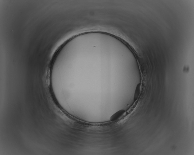 X0000089371510200707131625