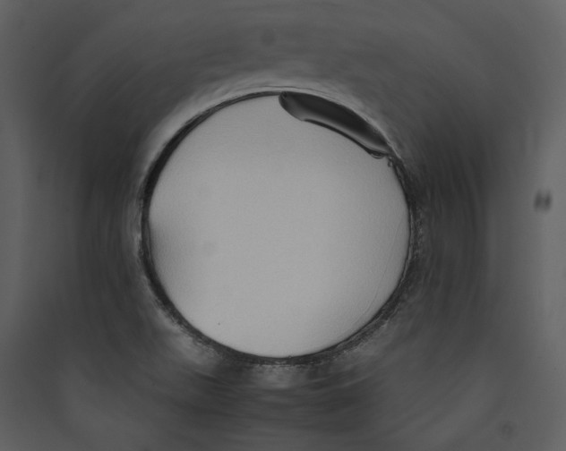 X0000089371511200707131625