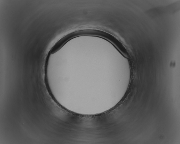 X0000089371512200707131625