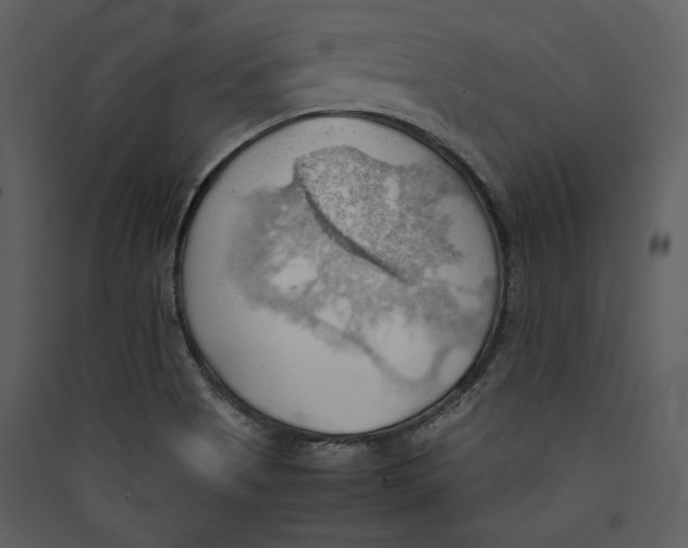 X0000089371513200707131625