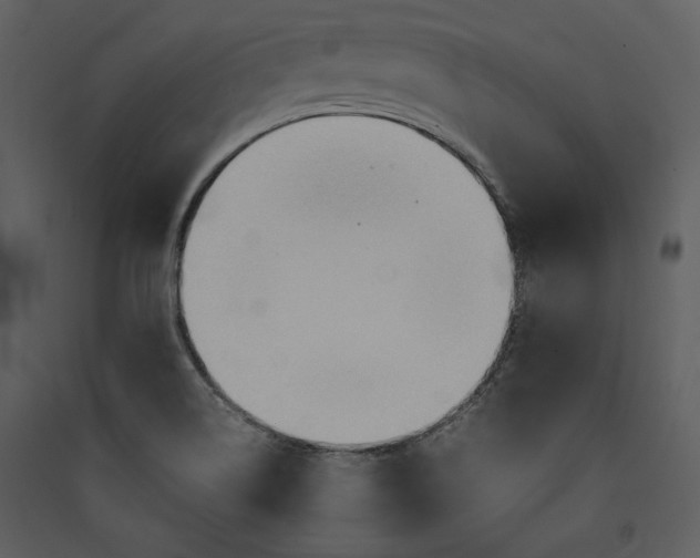 X0000089371514200707131625