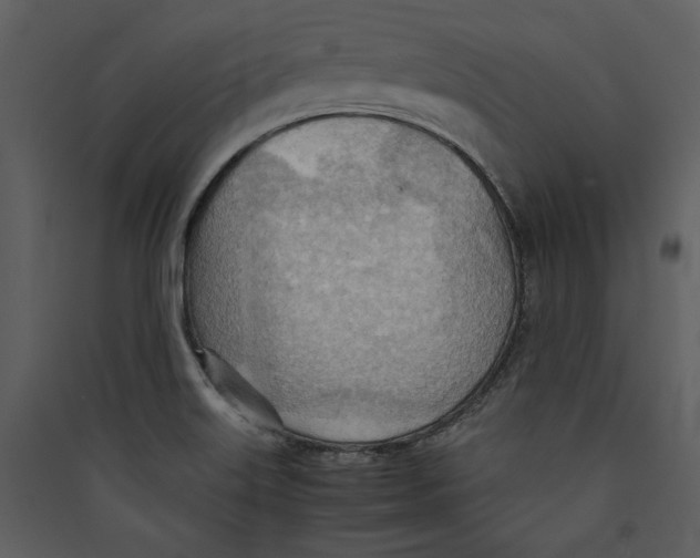 X0000089371515200707131625