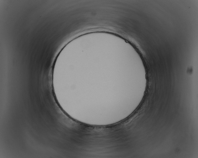 X0000089371516200707131625