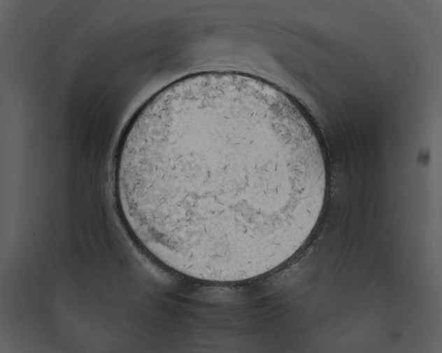 X0000089371517200707131625