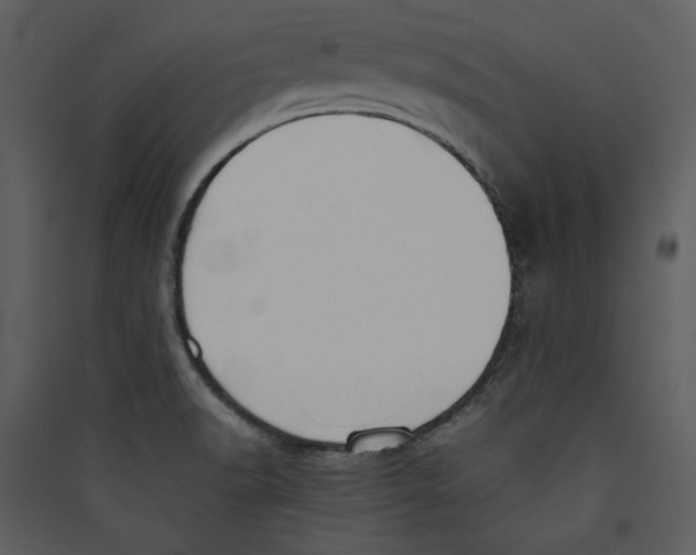 X0000089371518200707131625