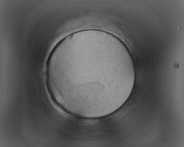 X0000089371519200707131625