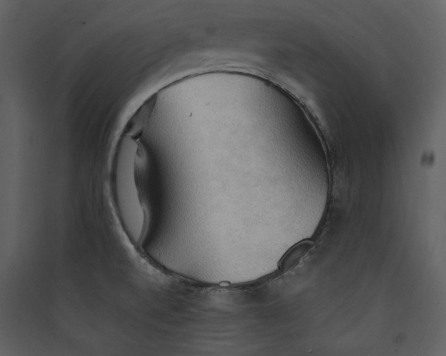 X0000089371520200707131625