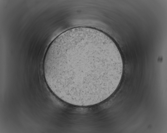 X0000089371521200707131625