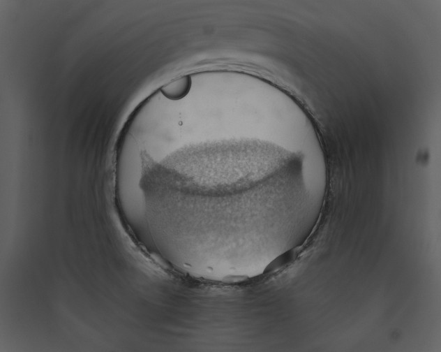 X0000089371522200707131625